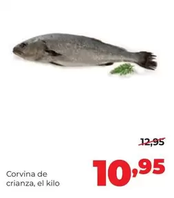 Alimerka - Corvina De Crianza