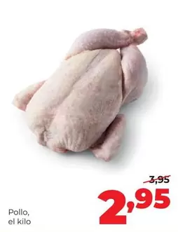 Pollo