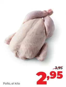 Pollo