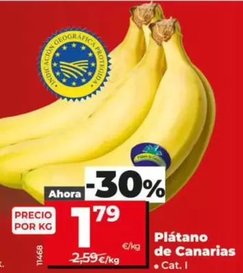 Platano De Canarias
