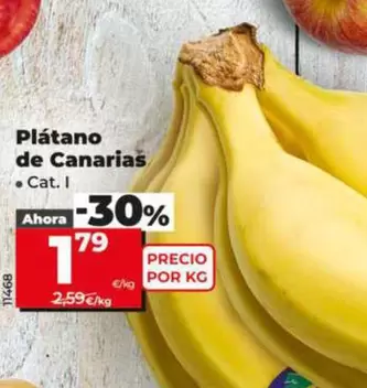 Platano De Canarias