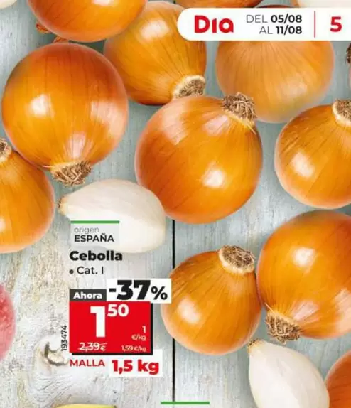 Cebolla