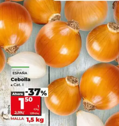 Cebolla 
