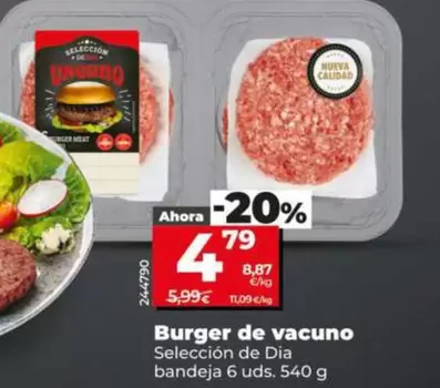 Seleccion De Dia - Burger De Vacuno