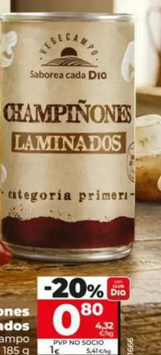 Dia Vegecampo - Championes Laminados