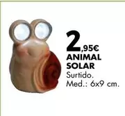 Animal Solar