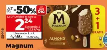 Magnum Almendrado