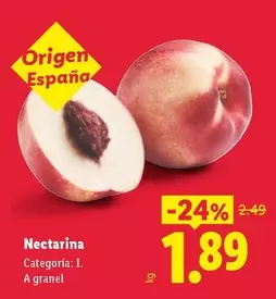 Nectarina