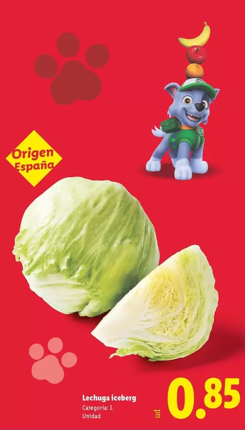 Lechuga Iceberg