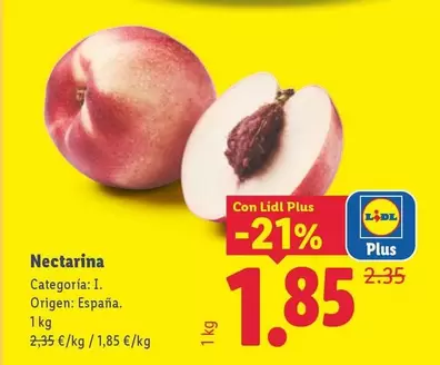 Nectarina