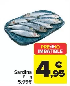 Sardina