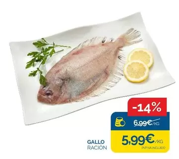 Gallo -  -