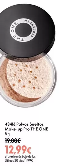 The One - 4346 Polvos Sueltos Make-up Pro