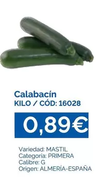 origen - Calabacin