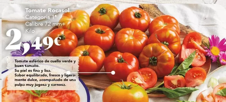 Tomate Roçasol