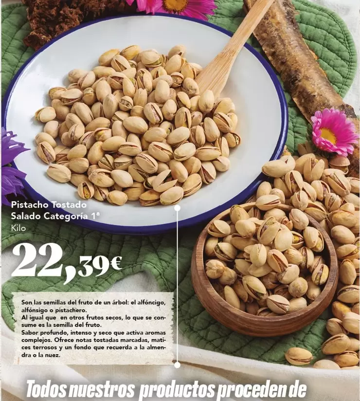 Seco - Pistacho Salado Categoria