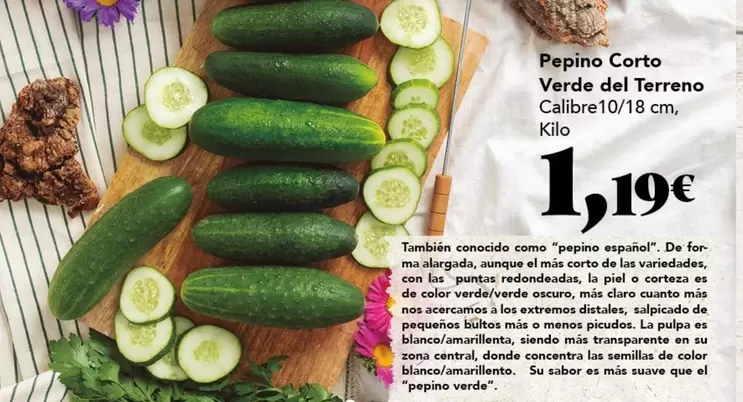 Claro - Pepino Corto Verde Del Terreno