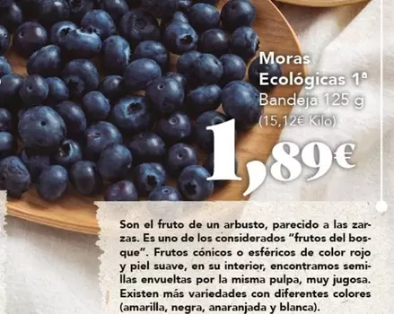 Zas! - Moras Ecológicas