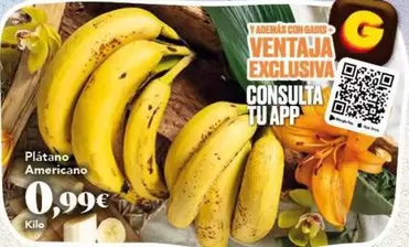 Plátano Americano