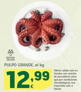 Pulpo Grande