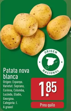 origen - Patata Nova Blanca