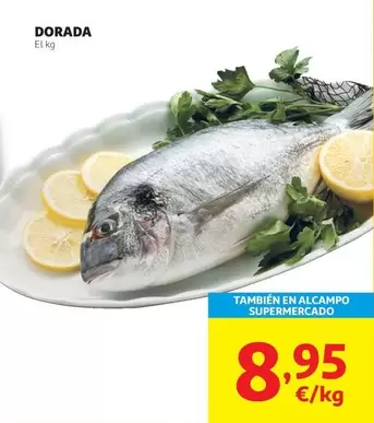 dorada - Dorada