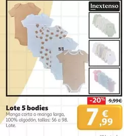 inextenso - Lote 5 Bodies