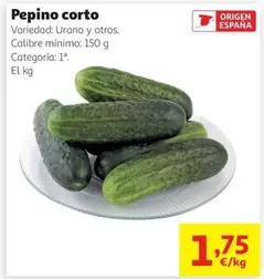 origen - Pepino Corto