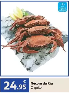 Nécora Da Ría