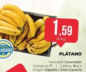 Plátano Origen: España