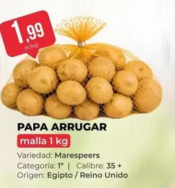 Papa Arrugar Origen: Egipto/Reino Unido
