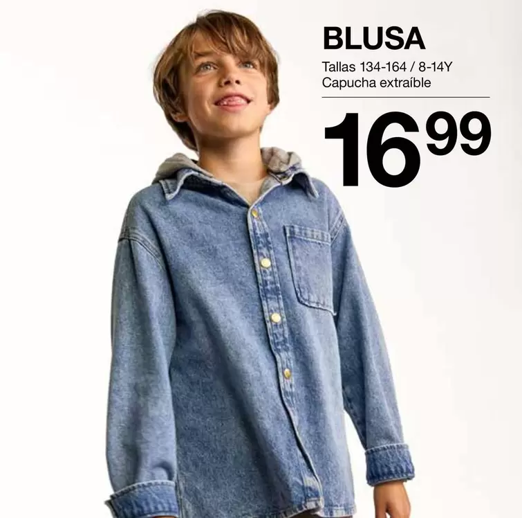 Blusa