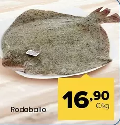 Rodaballo
