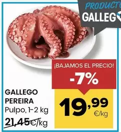 Gallego Pereira - Pulpo