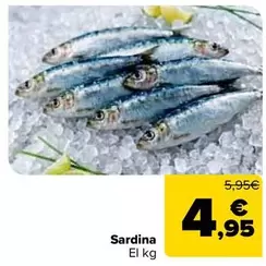 Sardina