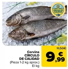 Corvina