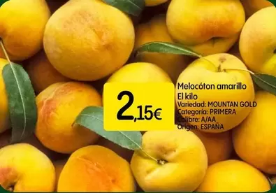 Gold - Melocoton Amarillo