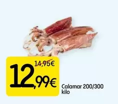 Calamar 200/300