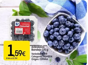 Arándanos