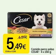 Cesar - Comida Perro Salsa