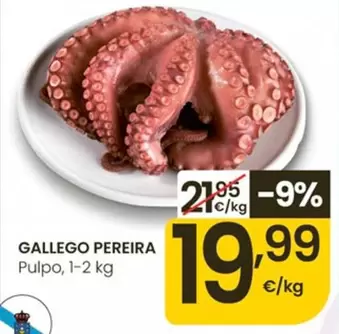 Gallego Pereira - Pulpo