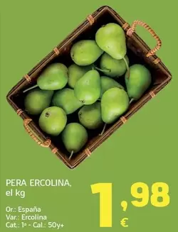 Pera Ercolina
