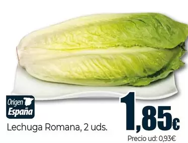 Lechuga Romana
