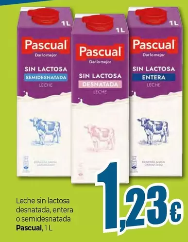Pascual - Leche Sin Lactosa Desnatada Entera O Semidesnatada