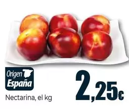 Nectarina