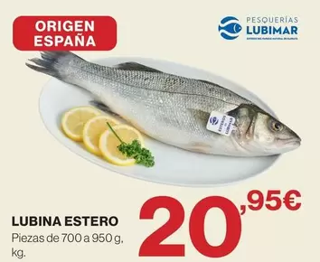 origen - Lubina Estero