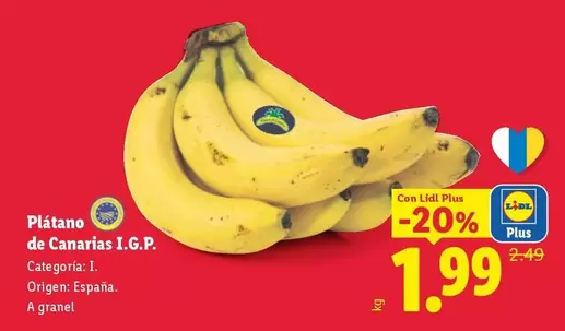 Platano De Canarias I.G.P.