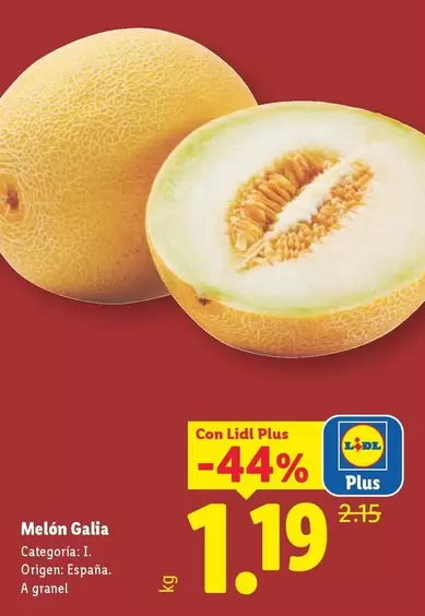 Melón Gala