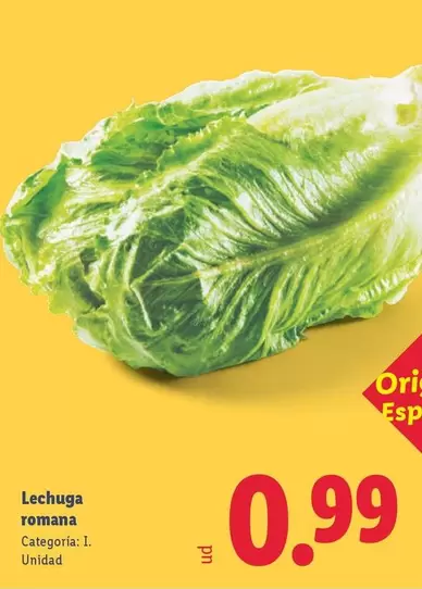 Lechuga Romana