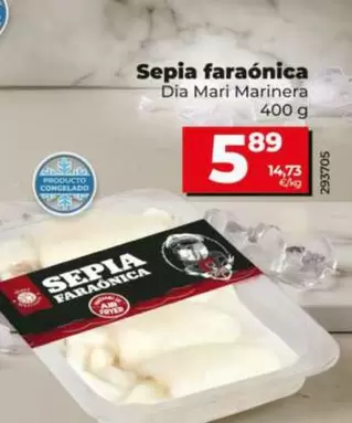 Dia Mari Marinera - Sepia Faraonica